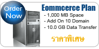 Ecommerce Plan